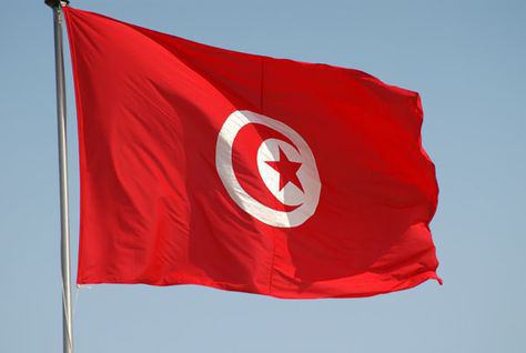 튀니지의 국기 사진